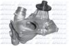 DOLZ B234 Water Pump